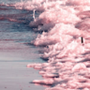 Meet your Posher, Sabrina